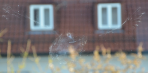 Taubenabdruck an meiner Fensterscheibe